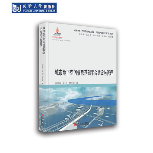 城市地下空间信息基础平台建设与管理 倪丽萍 同济大学出版社