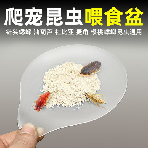 捷角果泥盘蟑螂蟋蟀鼠妇食盆