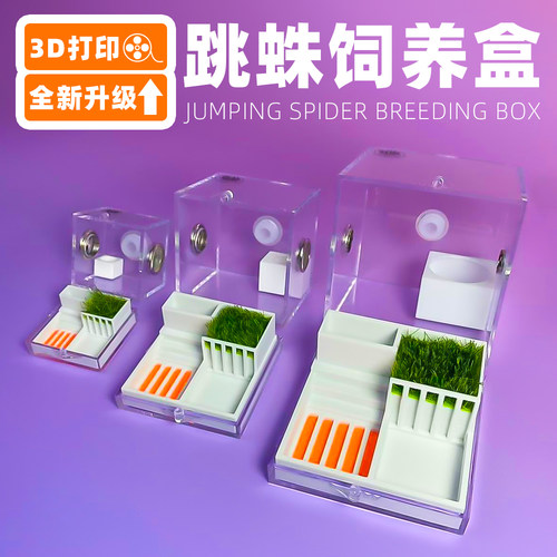 宠物跳蛛蜘蛛甲虫饲养箱
