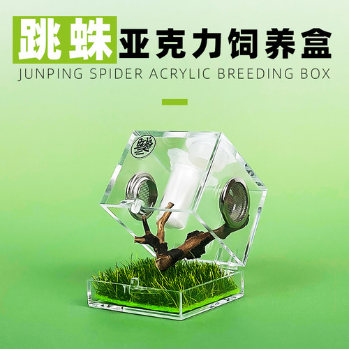 亚克力透明昆虫跳蛛饲养盒旺宠