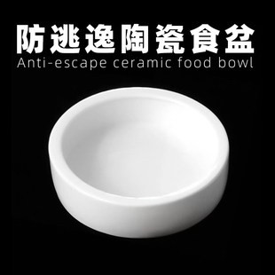 爬虫防逃逸食盆爬宠守宫鬃狮活体饲料面包虫大麦虫角蛙水盆全陶瓷