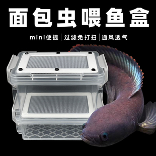 面包虫饲养盒箱雷龙 守宫 蜘蛛 仓鼠 鹦鹉喂食盒九龙虫养殖盒漏粪