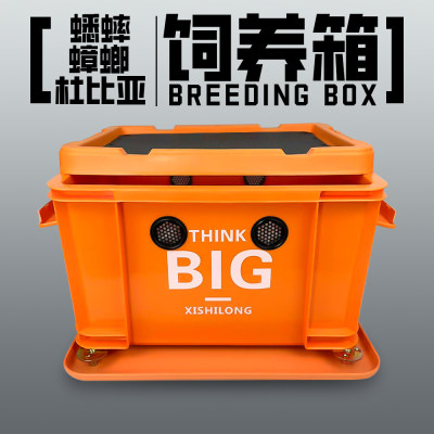 蟋蟀蟑螂杜比亚饲养箱