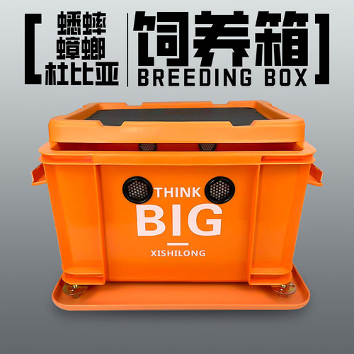 蟋蟀蟑螂杜比亚饲养箱