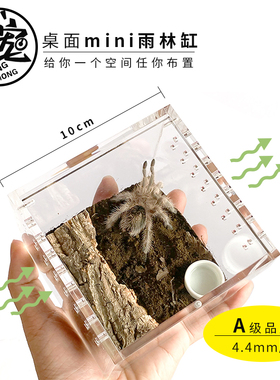 桌面迷你雨林缸 鱼缸 爬宠缸捕鸟蛛角蛙蝎子鼠妇树蛙孔雀鱼饲养盒