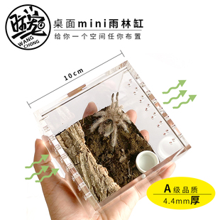 桌面迷你雨林缸 鱼缸 爬宠缸捕鸟蛛角蛙蝎子鼠妇树蛙孔雀鱼饲养盒