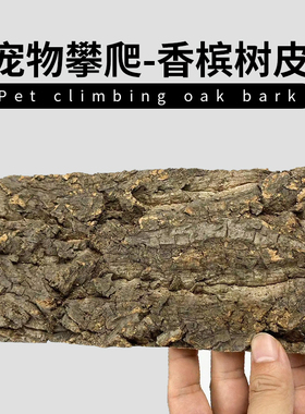 真树皮软木树皮香槟树木皮 爬宠鱼缸造景树皮水族装饰贴墙面树皮