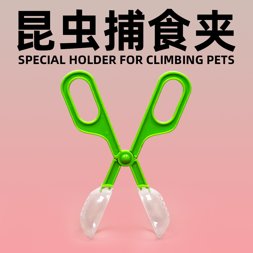 蟋蟀樱桃蟑螂杜比亚面包虫夹子