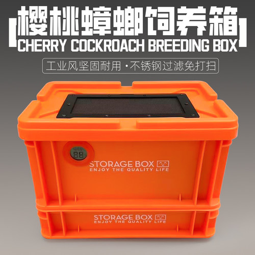 樱桃蟑螂杜比亚面包虫饲养箱