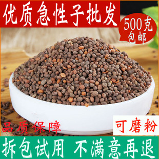 急性子中药材500克 凤仙花子 指甲花籽 正品新货精选急性籽药包邮