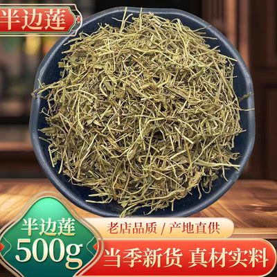 野生纯天然半边莲无硫熏中药材