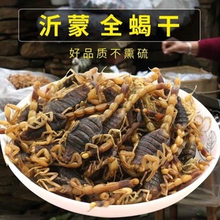 全蝎干中药材全虫100克包邮新货全蝎清水蝎子干另售水蛭蜈蚣