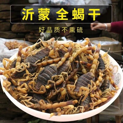 散装100克包邮新货全蝎