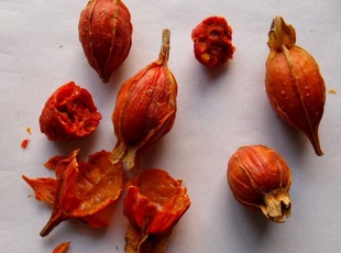 中药材栀子500g克精选天然黄栀子枝子木丹栀子泡花茶免费磨粉