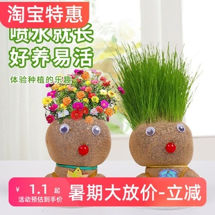 室內種植長草娃娃可愛草頭娃娃小盆栽幼兒園手工桌面綠植盆栽擺件