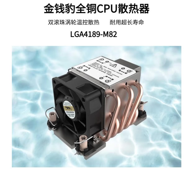 intel散热器金钱豹LGA4189-M82(2U)5热管300W