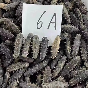 大连辽参海参干货500克7A淡干6排辽参刺参非即食礼盒送礼高参龄