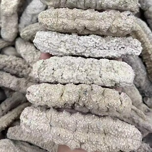 黄玉参黄肉参干货淡干野生海参沙秃参印尼刺参白刺参龙纹参明秃参