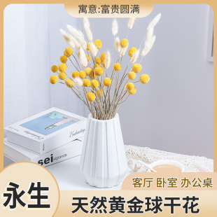 黄金球干花花束永生真花家庭家居装 diy材料 饰摆件摆设小清新拍摄