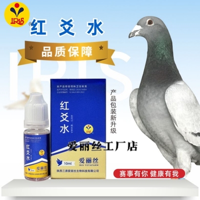 爱丽丝红爻水信鸽单眼流泪