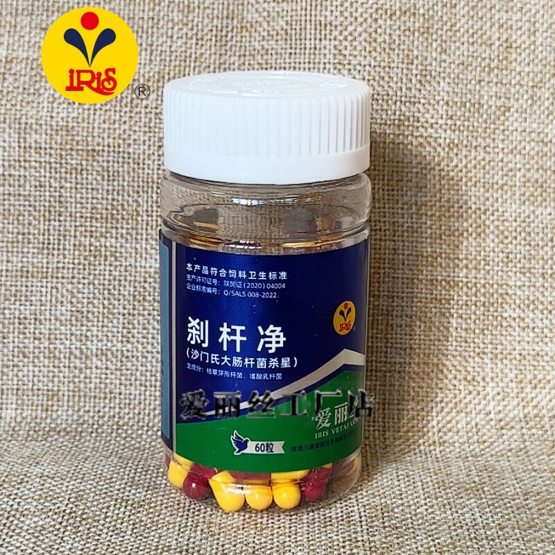 爱丽丝刹杆净沙门大肠杆菌杀星