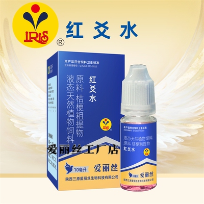 爱丽丝红爻水信鸽单眼流泪