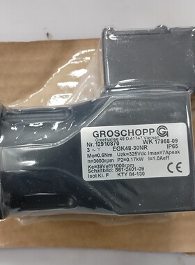 GROSCHOPP，GROSCHOPP电机EGK48-30NR