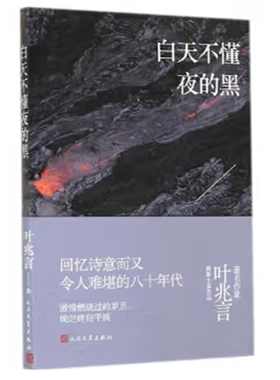 白天不懂夜的黑 叶兆言 著 回忆诗意而又令人难堪的八十年代 正版现货 人民文学出版社