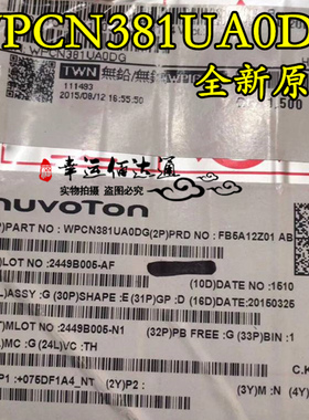 WPCN381UA0DG QFP48 全新原装 现货供应