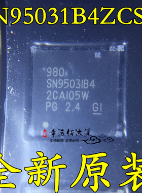 SN95031B4ZCSR SN9503IB4 BGA 控制板主芯片 全新原装 现货供应