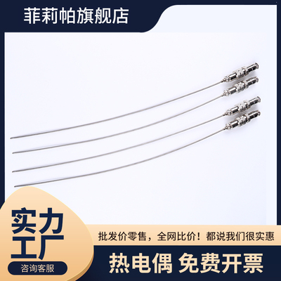 智立华H实验室铠装温度探针