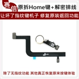 Отпечаток отпечатков пальцев отпечатков