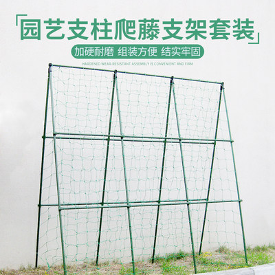 园艺支柱支架套装豆角架黄瓜架子花支柱配爬藤网菜园蔬菜支架种植 虎窝淘