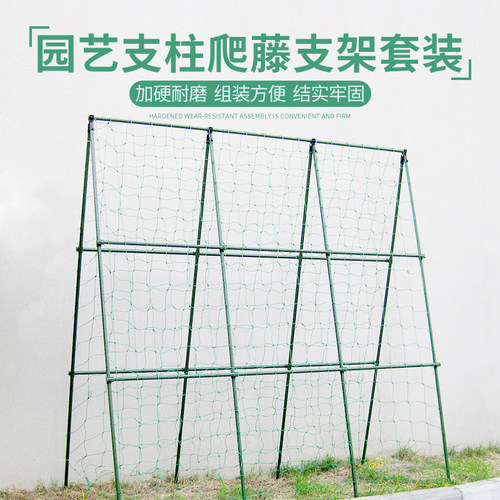园艺支柱豆角蔬菜种植