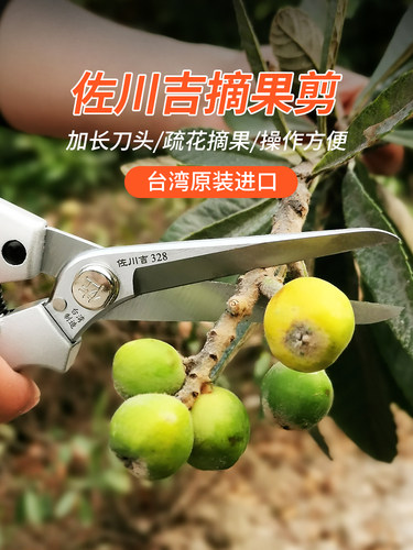 苏川机水果采摘剪刀直头长刃修剪剪刀水果疏枝剪花剪果树剪盆景剪