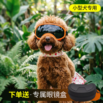 狗狗护目镜小型犬墨镜泰迪比熊防风防紫外线太阳镜宠物户外眼镜