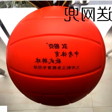 Ballon de volley - Ref 2011736 Image 4