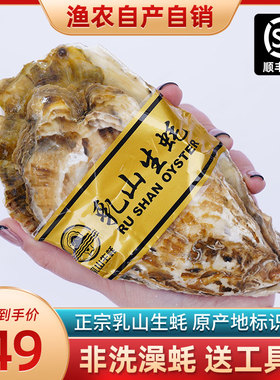 5斤装山东乳山新鲜生蚝鲜活海鲜水产海蛎子贝壳牡蛎带壳特大包邮