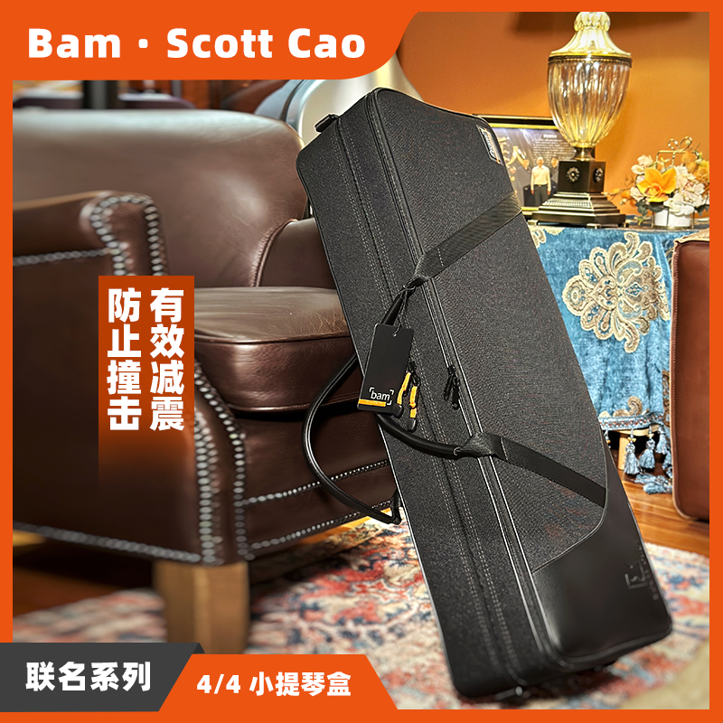 耐用bam法国防潮抗摔提琴盒