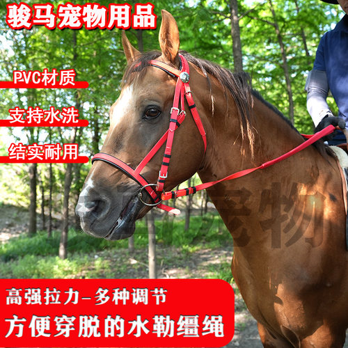 耐用Pvc马术装备套装水勒缰绳，马笼头套与缰绳带可拆卸马嚼子