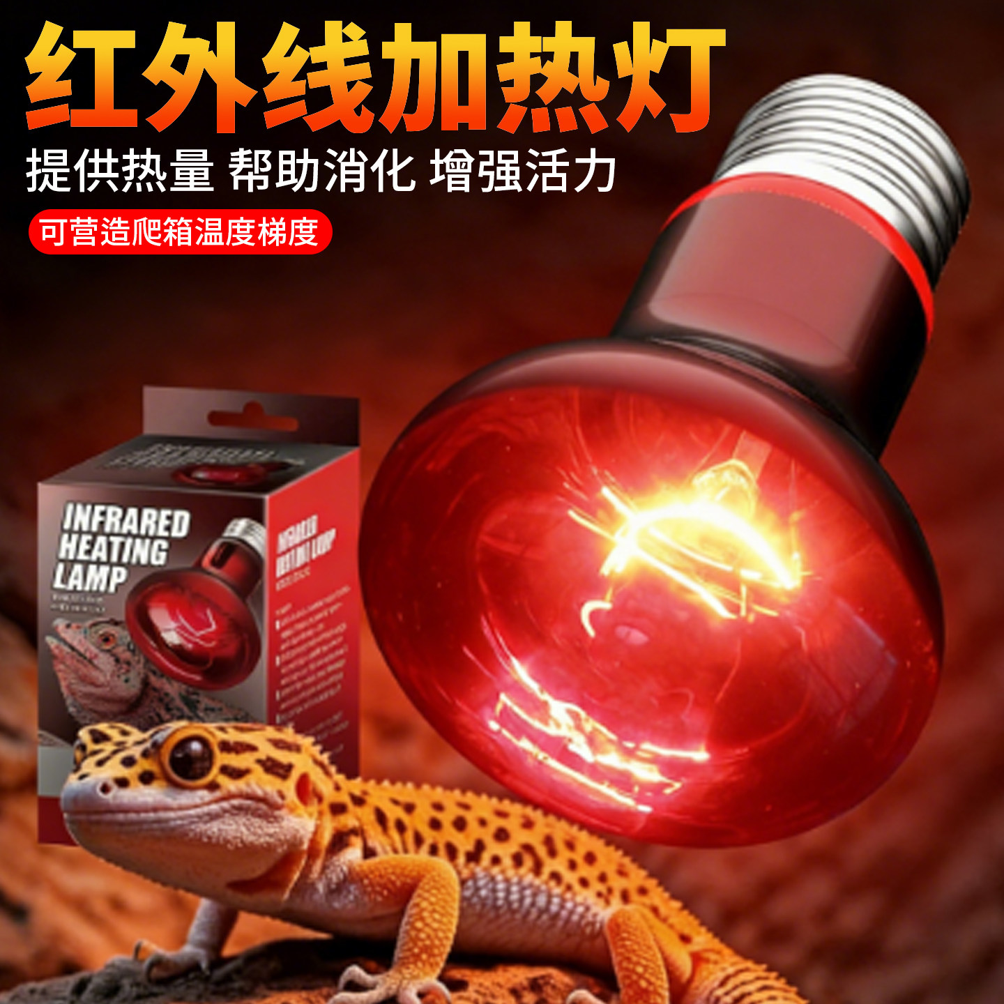 爬宠红外线加热灯爬箱蜥蜴陆龟