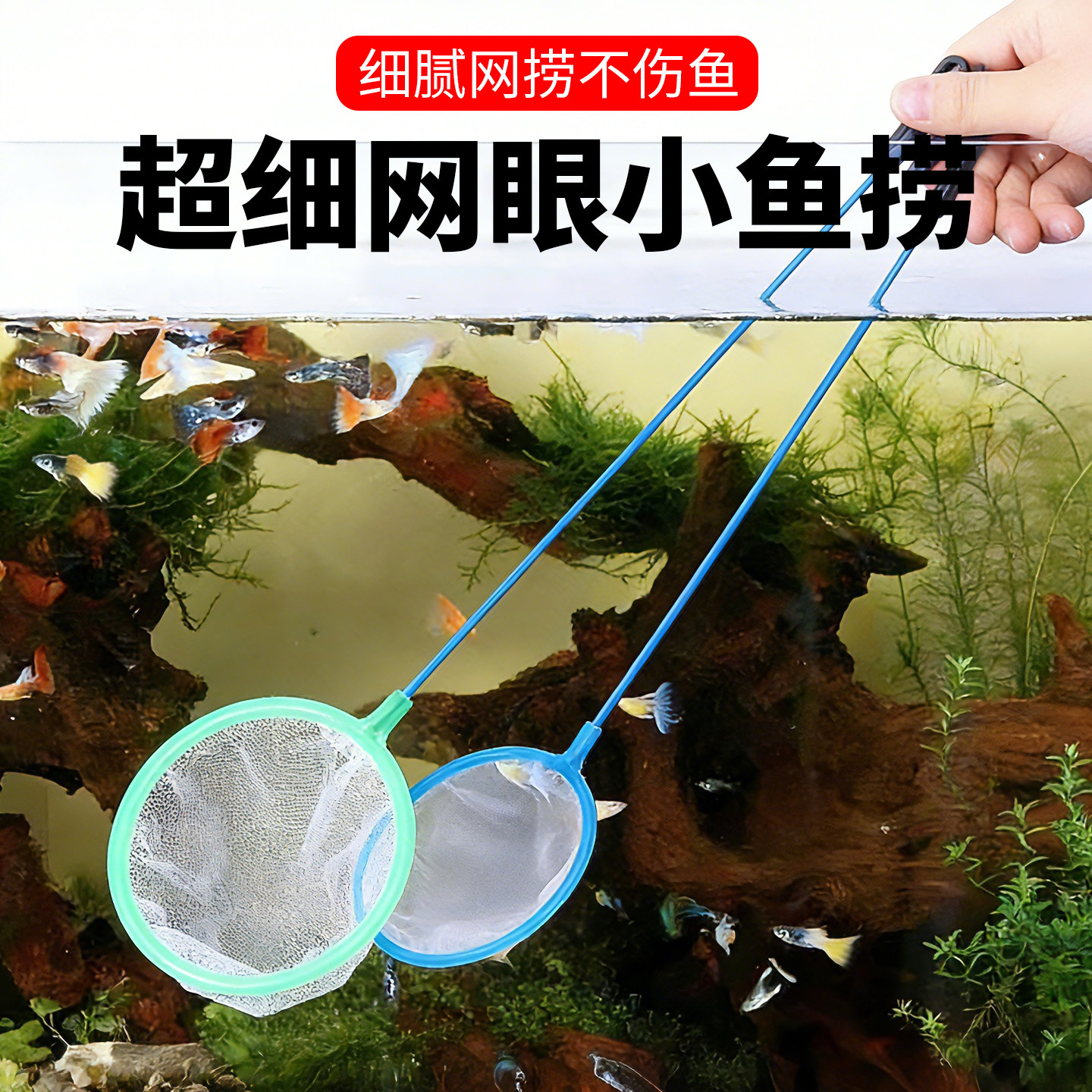 儿童鱼兜小孩小鱼捞捕鱼网大小号丰年虾网超密鱼缸捞鱼网兜观赏鱼
