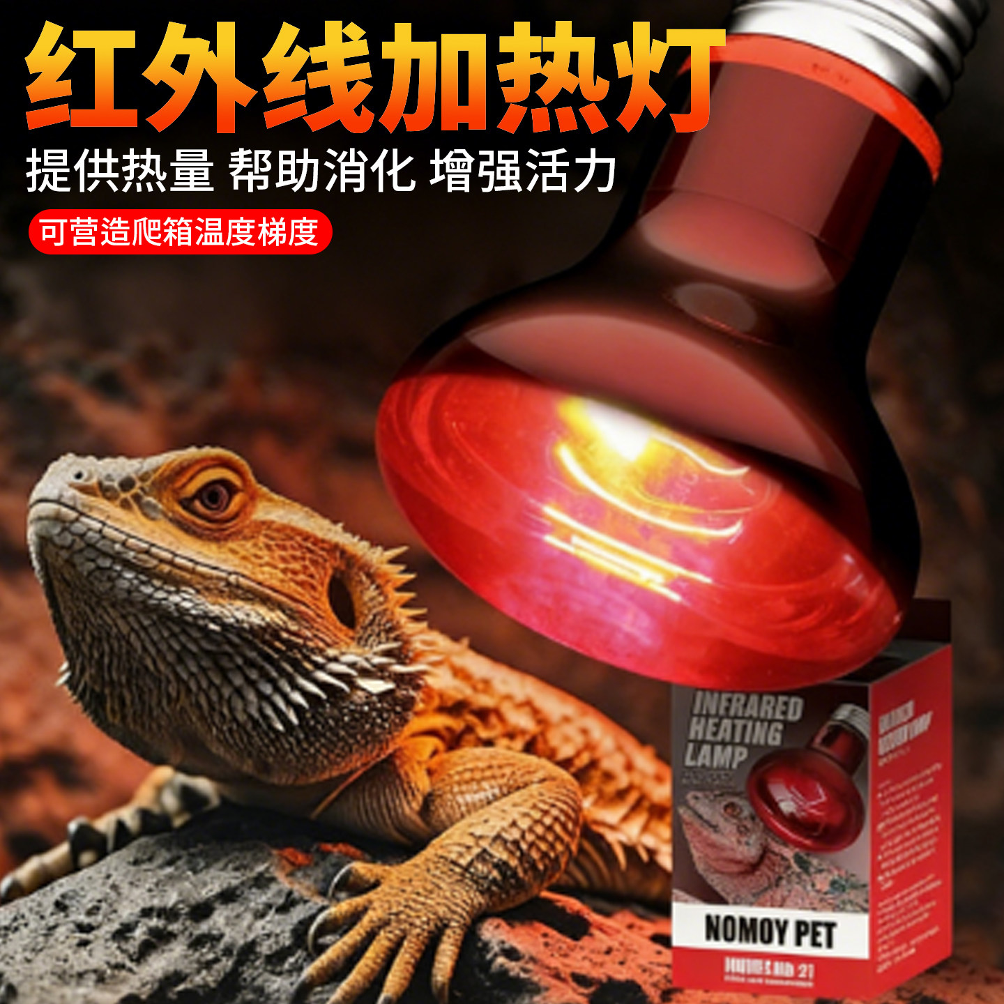 爬宠红外线加热灯龟守宫鬃狮鸟