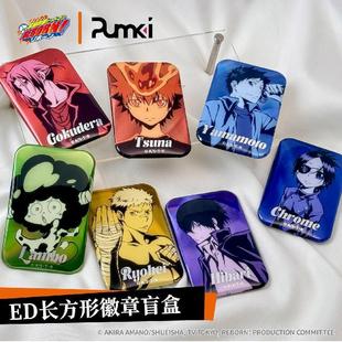 REBORN 家庭教师HITMAN ED长方形徽章吧唧盲盒 Pumki 哔哩哔哩