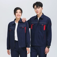 Тибетские синие стручки красный набор