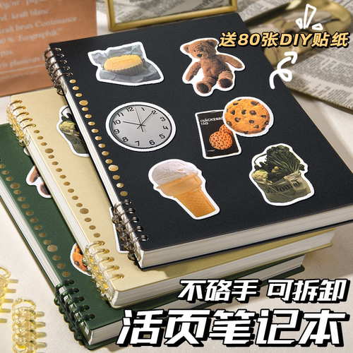 A4/B5/A5活页笔记本·送贴纸80张