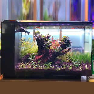 桌面长方形一体水族箱家用生态鱼缸客厅中型玻璃静音雷龙缸罗汉缸