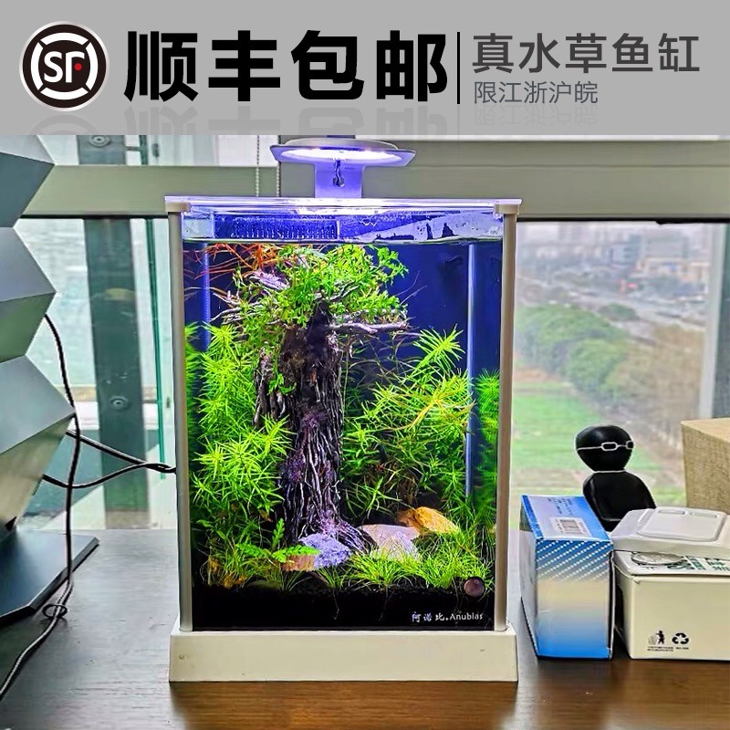迷你生态鱼缸水族箱阿诺比虾缸微型真水草套造景餐热带鱼小型桌面 世畅宠物用品专营店