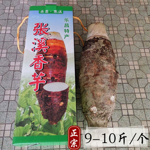 【9-10斤】乐昌张溪芋头 炮弹芋头 农家新鲜蔬菜香芋槟榔芋 包邮