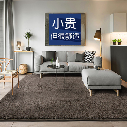加厚纯色地毯客厅长毛短绒高级
